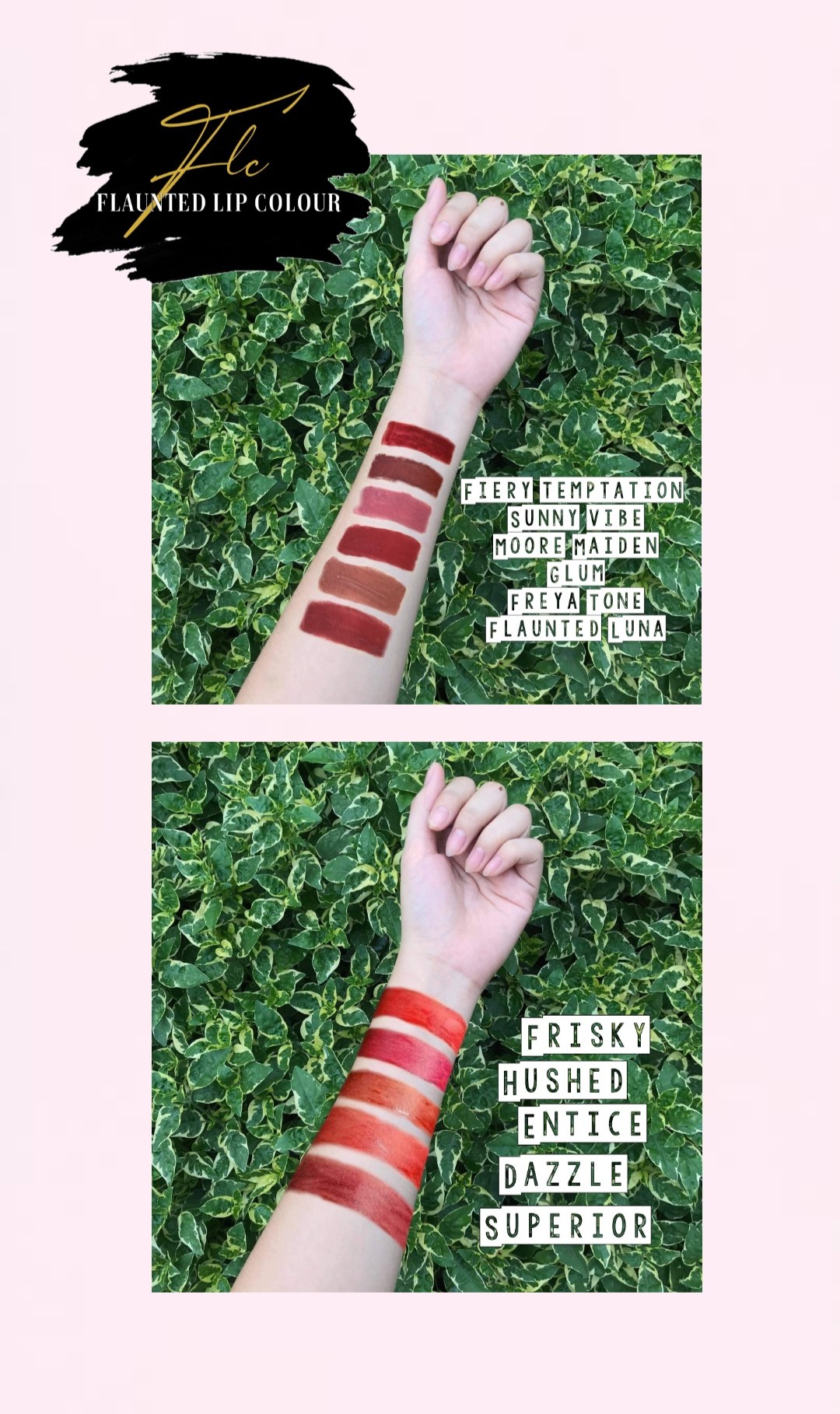 FLC Color Variations